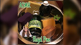 ASMR Royal Pine~Sudstastic~Sponge Soapy Squeezing~Oddly Satisfying 🧽