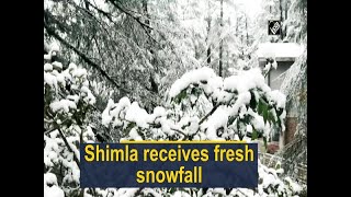 Shimla receives fresh snowfall