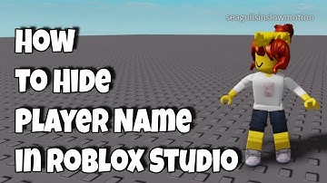 How to Hide Player Name in Roblox Studio