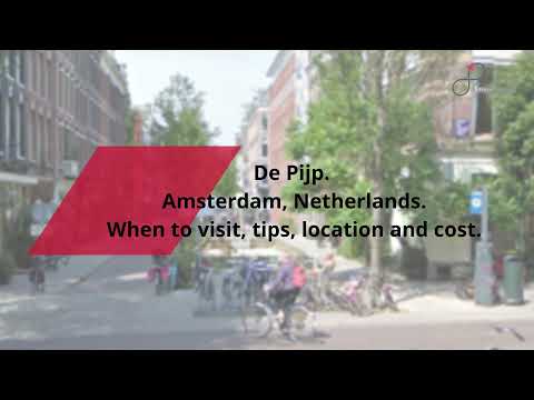 De Pijp, Amsterdam Guide - What to do, When to visit, How to reach, Cost  Tripspell