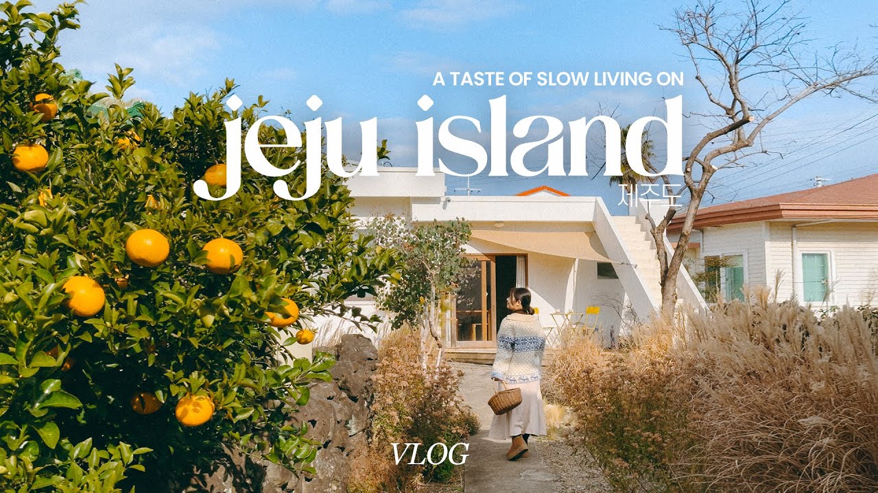 a slow life in jeju vlog 🍊 | aesthetic stay, welcome to samdal-ri filming location, cute cafes