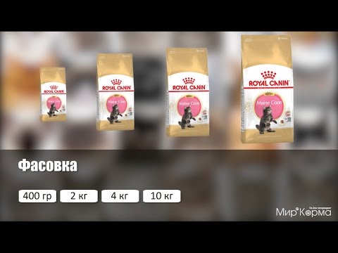 Обзор корма Royal Canin Maine Coon Kitten