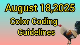 August 18,2025 Color Coding guidelines.