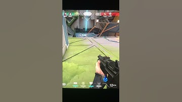 Valorant Bug 05.06 - Sage can’t switch gun + wall bug