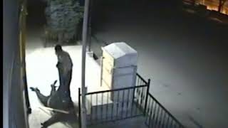 Soygun Için Tırmanan Hırsız Düştü