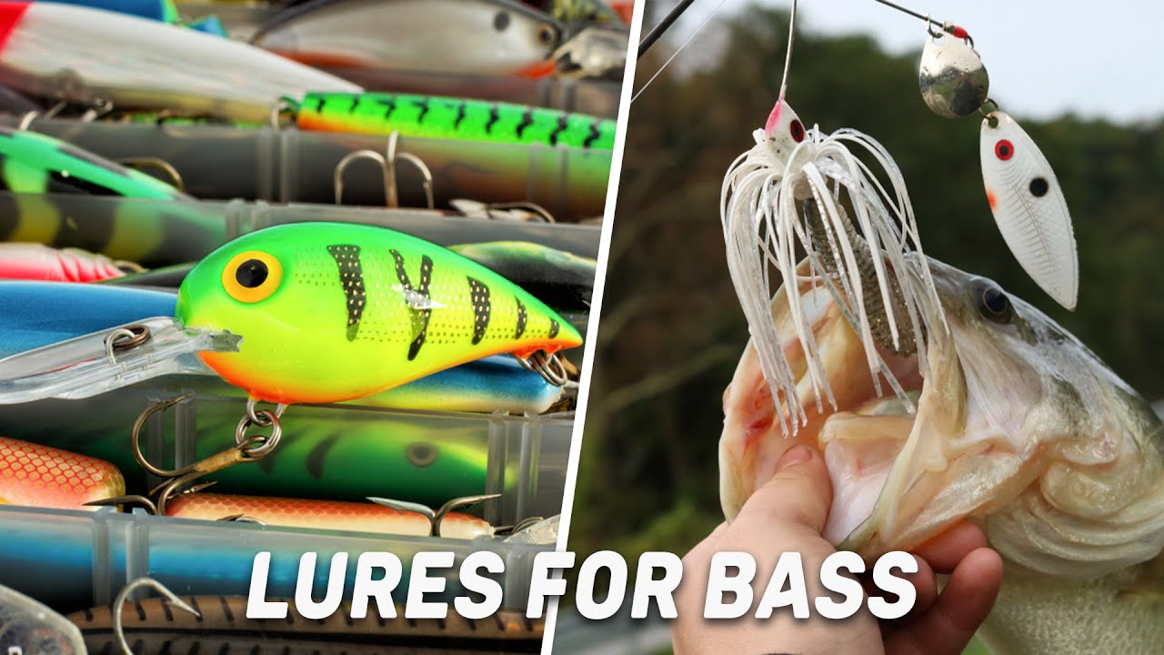 Best Lures For Bass in 2022 A Must Watch Guide! YouTube