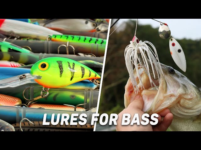 Best Lures For Bass in 2022 – A Must Watch Guide! 