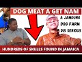 Dog meat selling in jamaica dainelle speaks tv