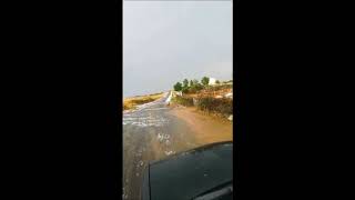 Reacción agricultor al ver su huerto destrozado San Felices Gallegos