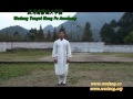 Wudang Taiyi Wuxing Qigong, 5 Elements, ???????