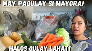 BUHAY AMERIKA: NAGPAGULAY SI MAYORA ANG DAMING PA GROCERY!