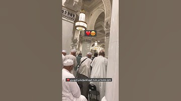 تلاوة خاشعة للشيخ ياسر الدوسري من عشاء اليوم ❤️