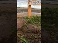 Limpeza De Vala Ep04 
