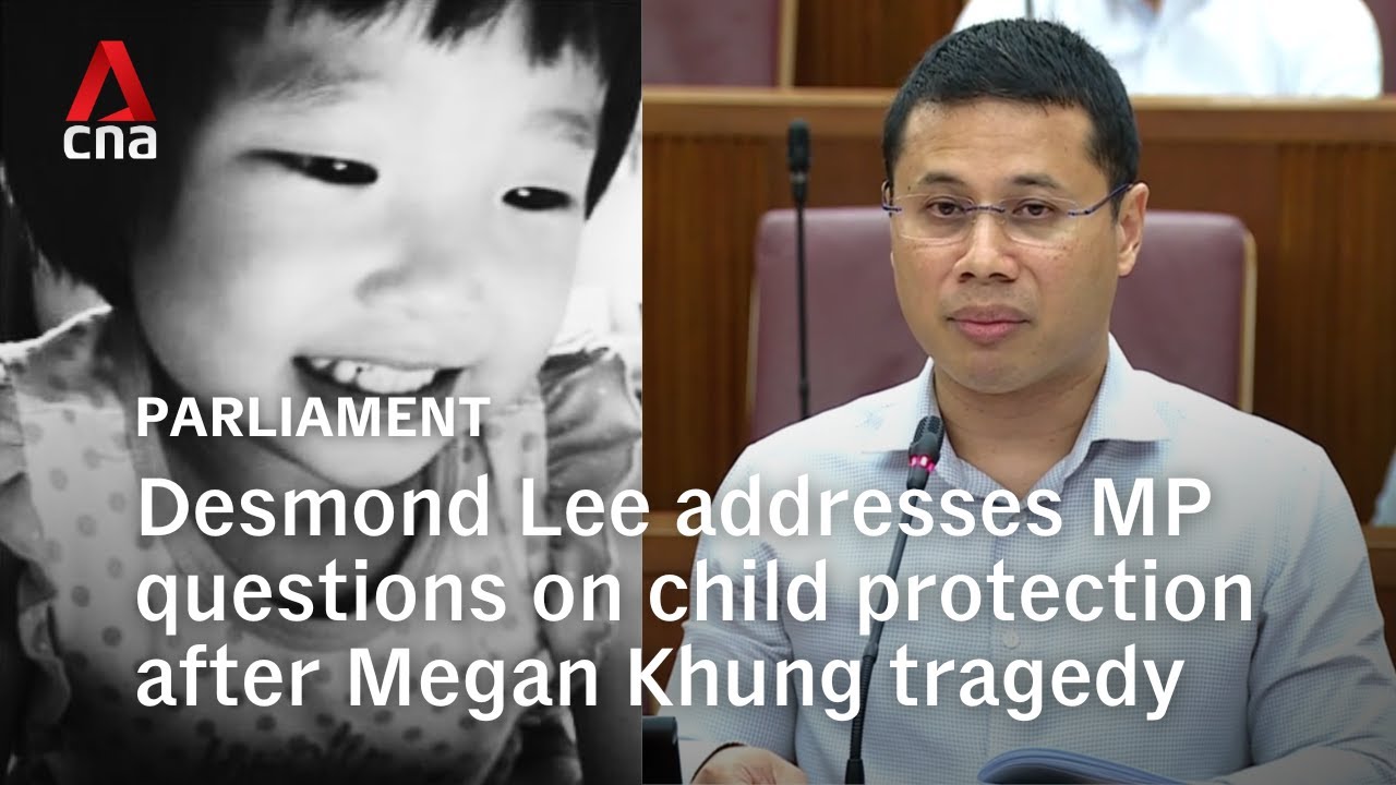 Minister Desmond Lee on Megan Khung case: All agencies 'deeply sorry' for outcome