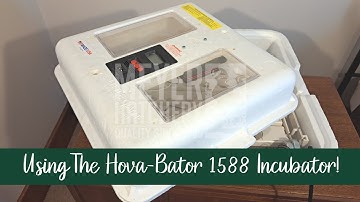 Preparing The Hova-Bator 1588 Incubator for Hatching!