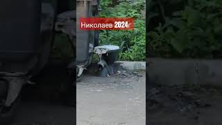 ПОЛНОЕ ВИДЕО НА КАНАЛЕ ПОДПИШИСЬ!#рекомендации #2024 #война #ремонт #рек #подпишись #город