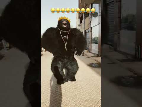 هيها الغوريلا عملت الحركه دي ب اكسبلور باندا الغوريلا ترند Panda فولو لايك ضحك تيك توك