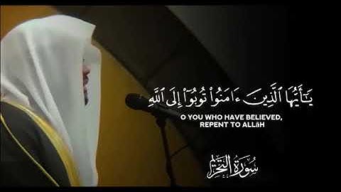 سورة التحريم مكررة القارئ ياسر الدوسري