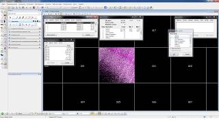 картинка: Microstation  ИДЕАЛЬНЫЙ АЛГОРИТМ! КЛАССИФИКАЦИЯ ТЛО в TerraScan  ПОШАГОВАЯ ИНСТРУКЦИЯ