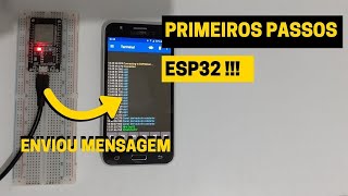 Primeiros passos no ESP32 (Instalação, primeiro programa, conexão)