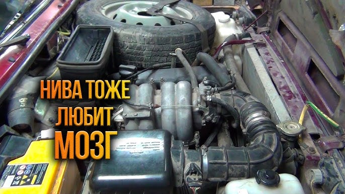 Грек порно онлайн Сорочинскідегі лесбиянки