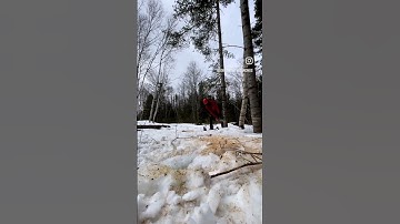 One At A Time! Clearing Trees For Our Off Grid Cabin