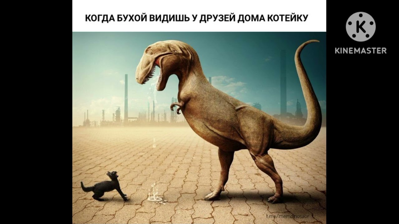 Мемы про динозавров ( 95 часть ) . Memes about dinosaurs ( part 95 ) .