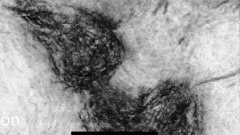 Structural and Salt Body