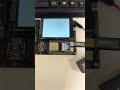 TP 2 : ESP32 Freenove Couleur noire-bleu-blanc-rouge-noire
