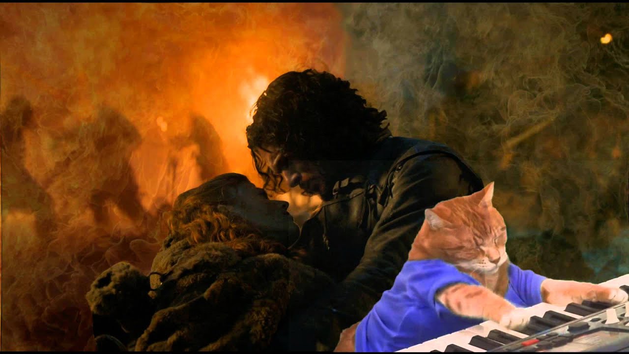Game Of Thrones cat YouTube
