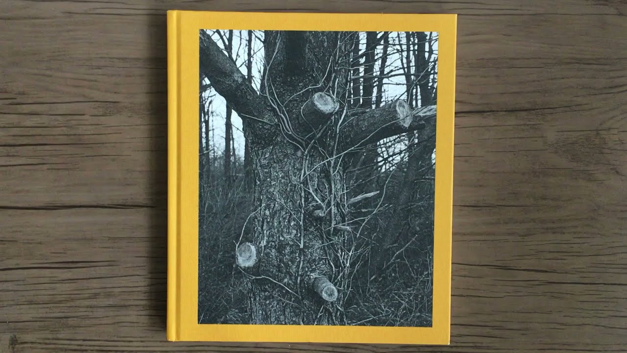 TIM CARPENTER   Christmas Day, Bucks Pond Road