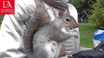 How to Draw an Animal presented by Drawing Academy .com 40-1