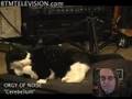 Tippi Cat Luvs Noise - See HER on WebCam