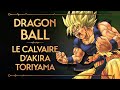 Pvr 12  dragon ball  le calvaire dakira toriyama