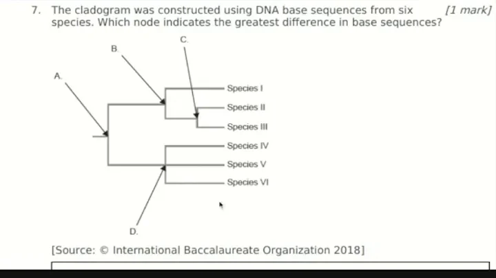 IB Biology-Answers to Questions on Topic 5.4 Cladistics