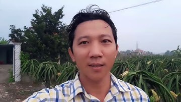 Cuộc sống miền quê đi đám giỗ Gò Công(phần 1)