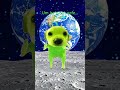 He’s not safe…. #funny #aliendog