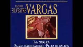 Mariachi Silvestre Vargas Atotonilco