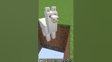 What is this "Minecraft Note Block" Song Challenge 5? #shorts