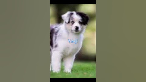 smink ötletek🩷🥹 várd ki a végét🥹❤️❤️