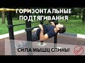 Горизонтальные подтягивания – простое упражнение для мощной спины!