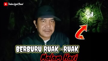 BERBURU RUAK-RUAK MALAM HARI, TANGKAP MENGGUNAKAN TANGAN KOSONG @pemburulegendchannel2482