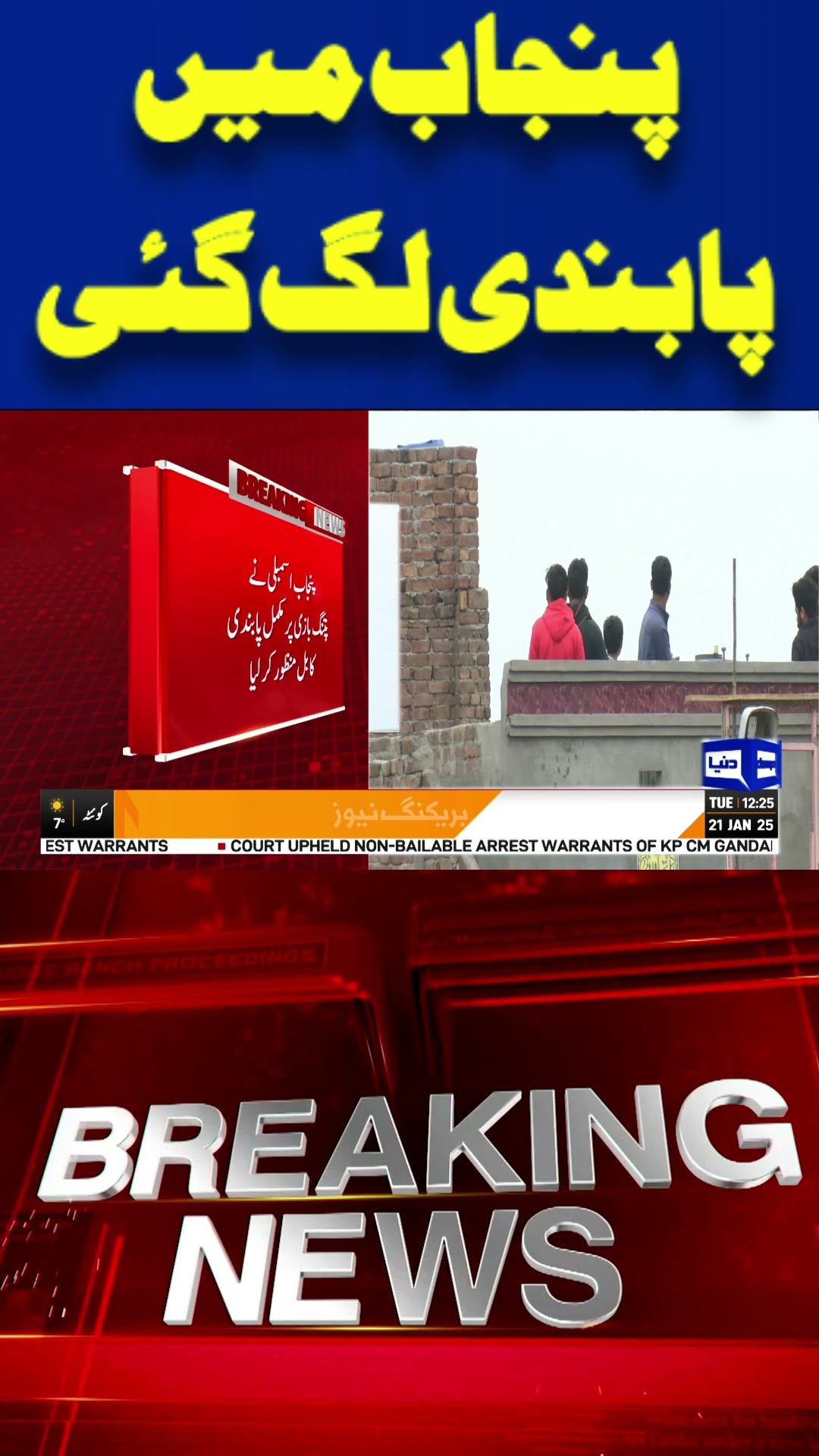 Kite Flying Banned : New Restrictions for Public Safety | Dunya #shortsvideo #viralvideo #shorts
