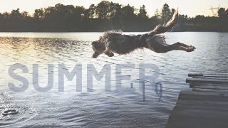 Summer '19 | Morie's 3rd birthday by Morie the Border Collie 1,031 views 4 years ago 2 minutes, 43 seconds