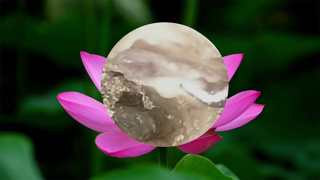 how to remove wax from your ear at home, - YouTube