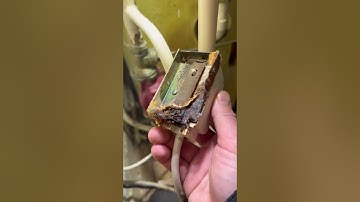 No hot water fault, electrician diagnosed the Y plan valve but sent me back to replace, let’s test