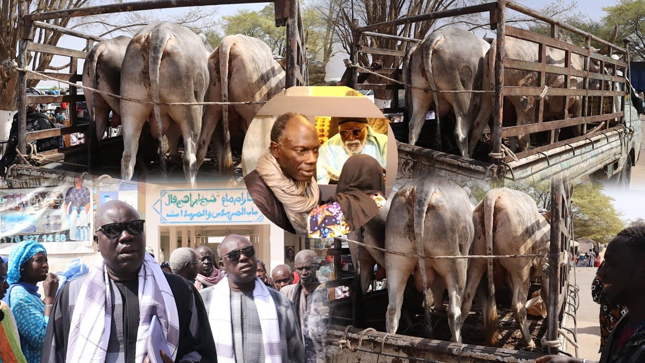 Wajal Ndogou Adiouma yi Déballé Adiya Serigne Mame Cheikh Khady Faye ci Serigne Amdy Khady Fall 