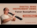 Careless whisper  tenor saxophone effect with greaten electronic wind instrument