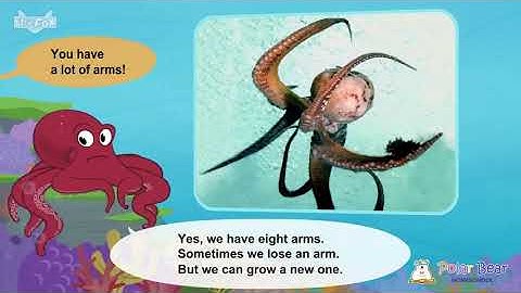 Lồng tiếng (vừa) - Luyện nghe nói Tiếng Anh | Little Fox - Octopus| TTNN Polar Bear Vũng Tàu