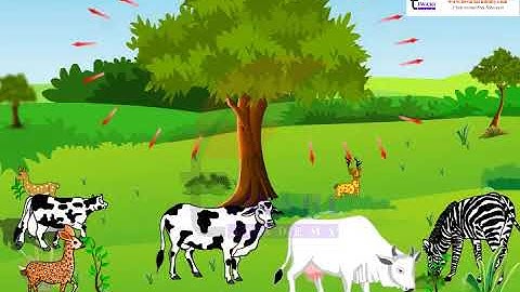 Class 10 Science Chapter 15 Our Environment - Eco System.